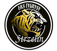 UKS Tygrysy Strzelin