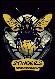 DKS Stingers Dzierżoniów